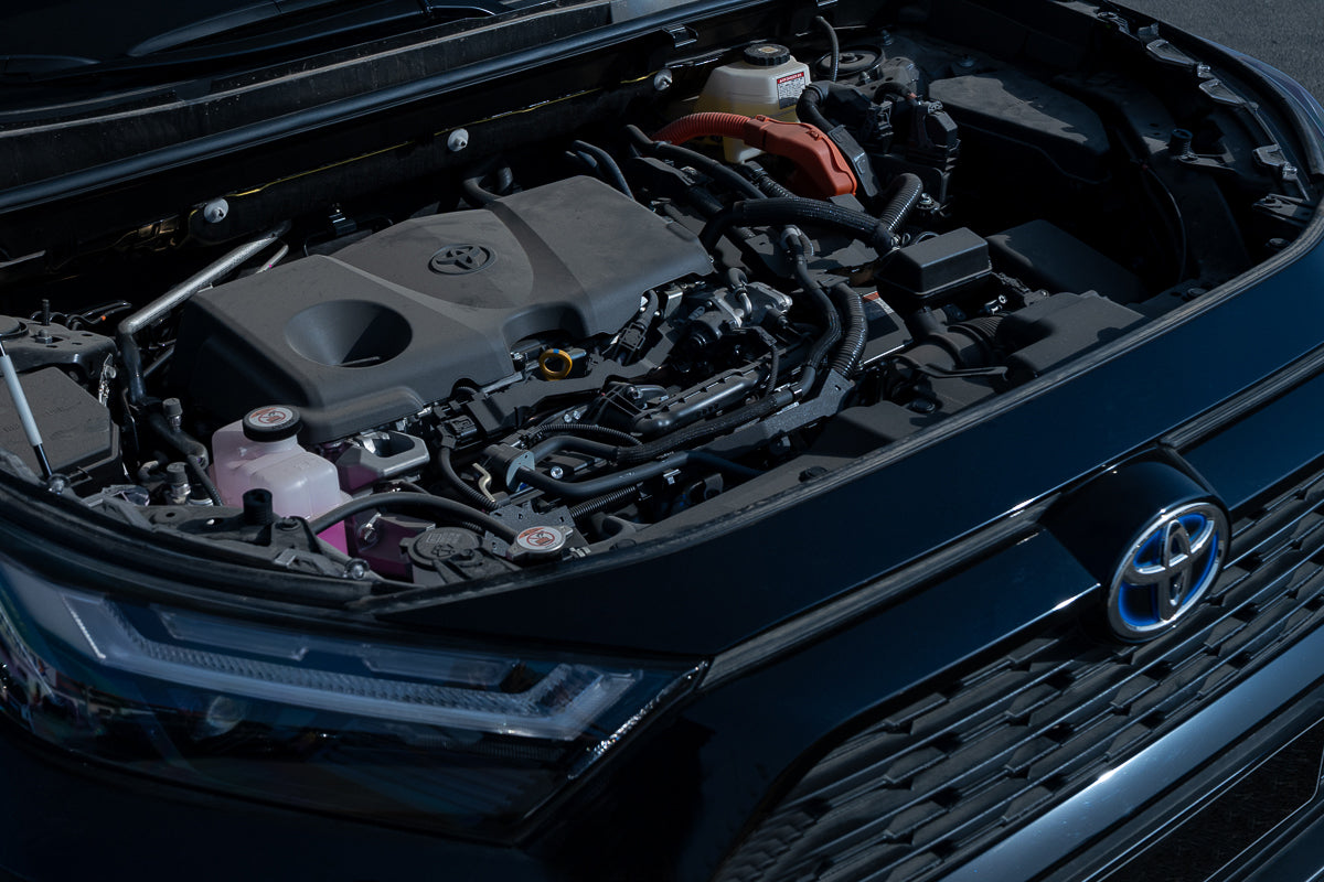 2024 Toyota RAV4 XLE Hybrid Black