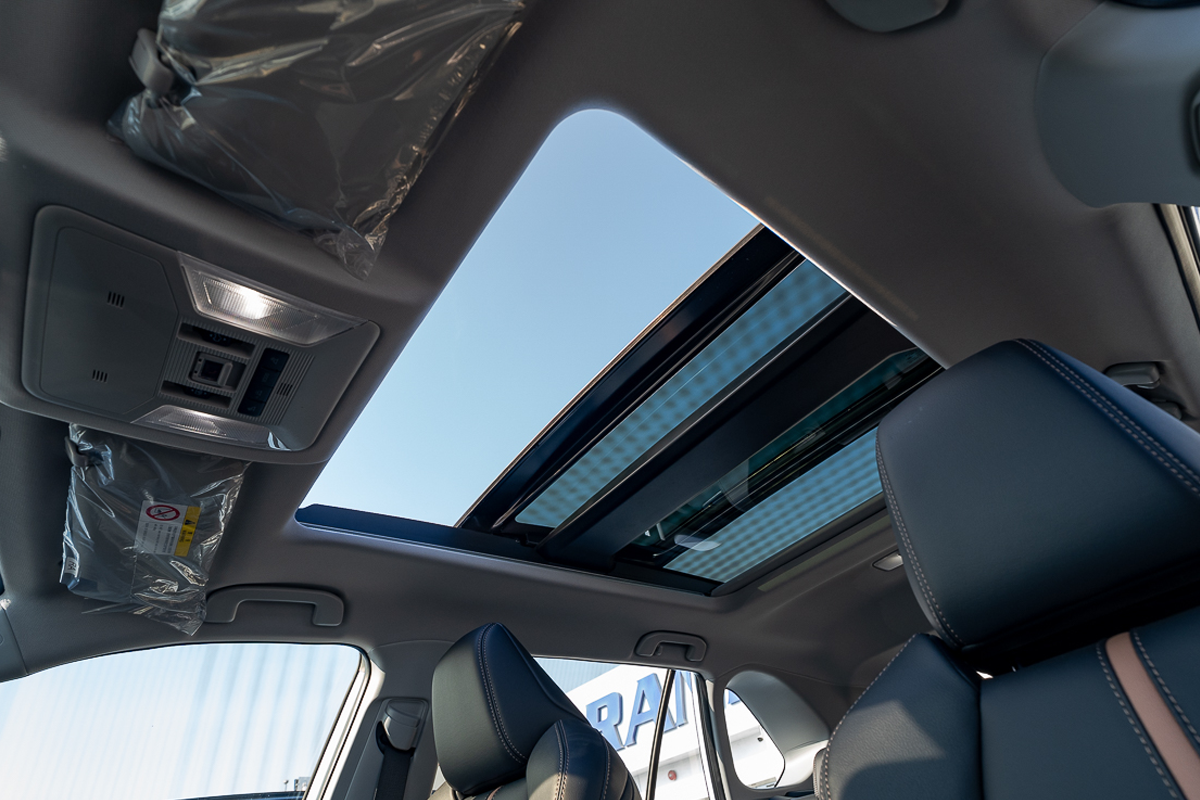 2024 Toyota Wildlander Luxury Plus Black