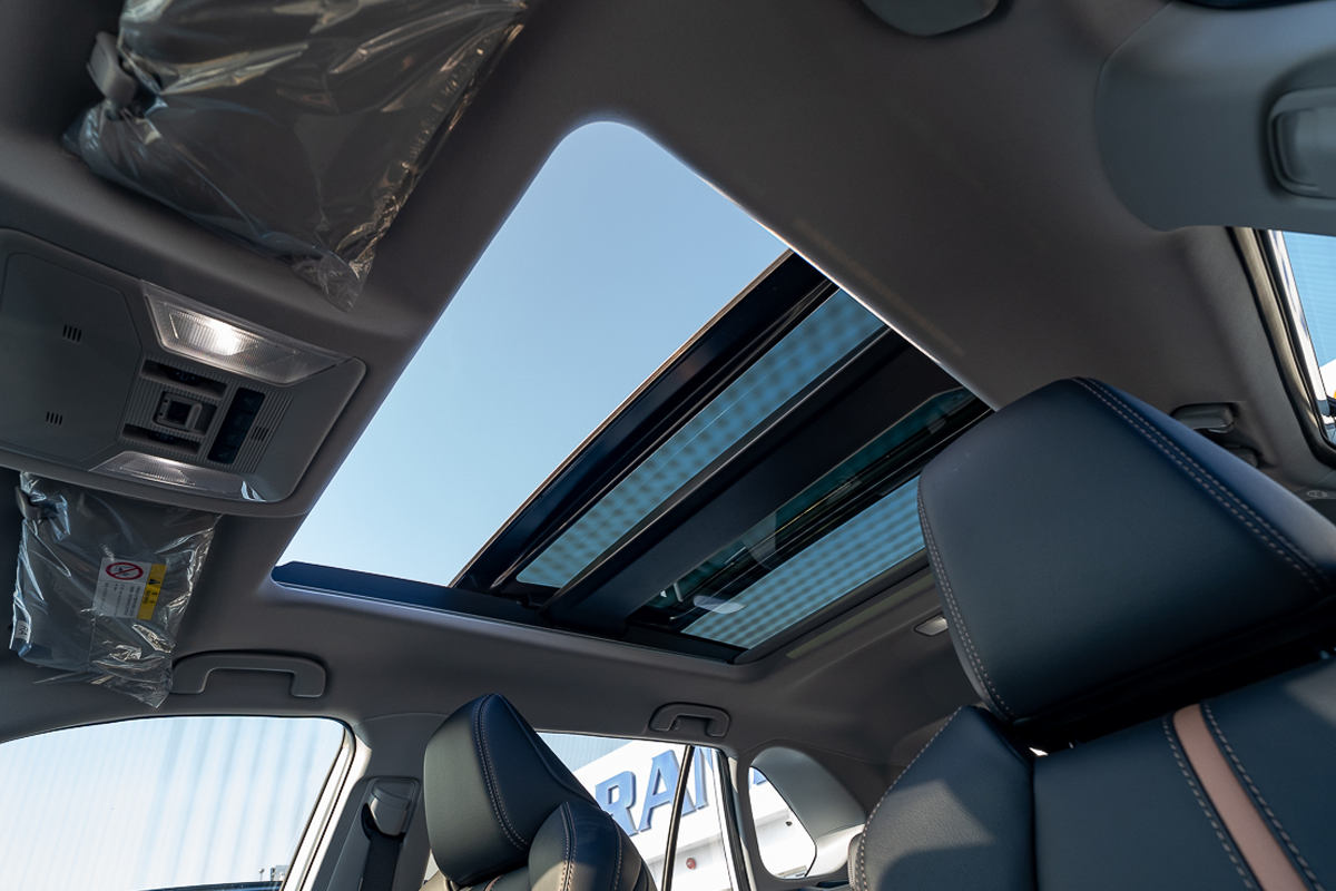 2024 Toyota Wildlander Luxury Plus