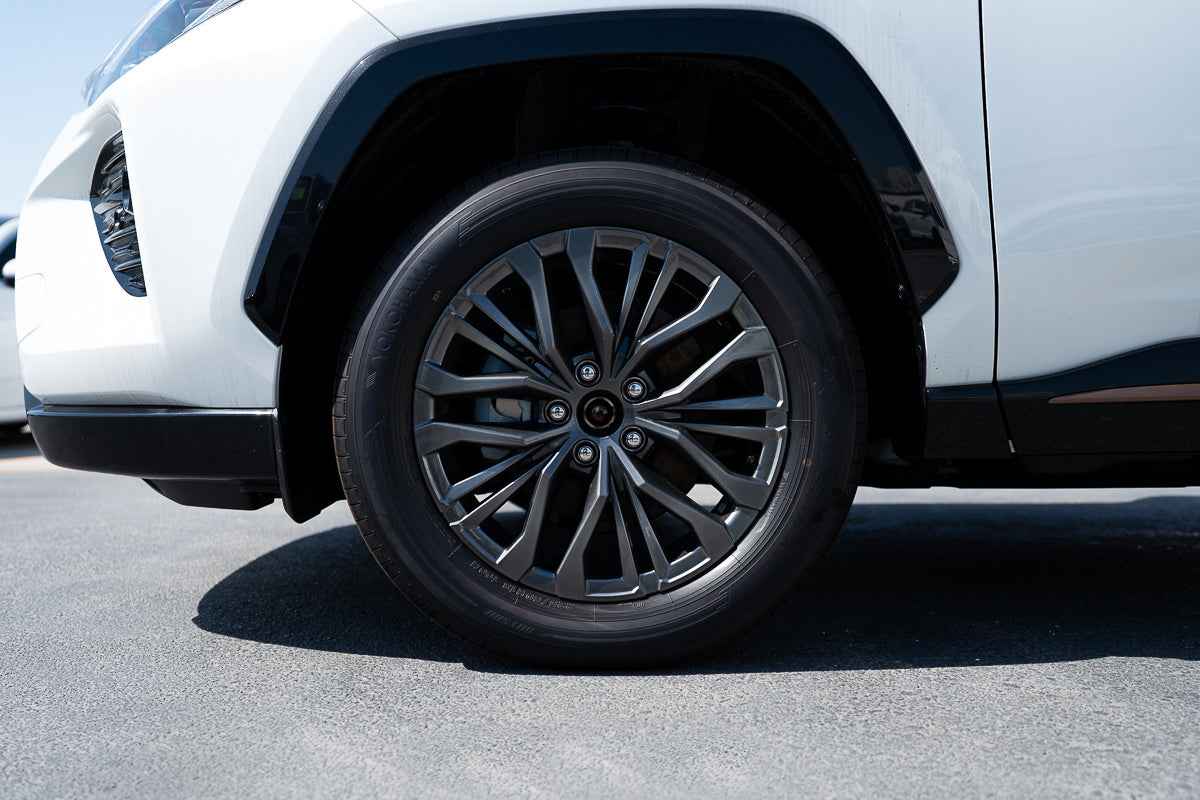 2025 Toyota Wildlander Luxury Plus White
