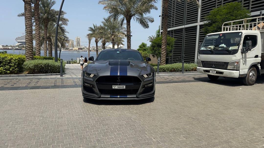 Ford Mustang Shelby 2021 Gray