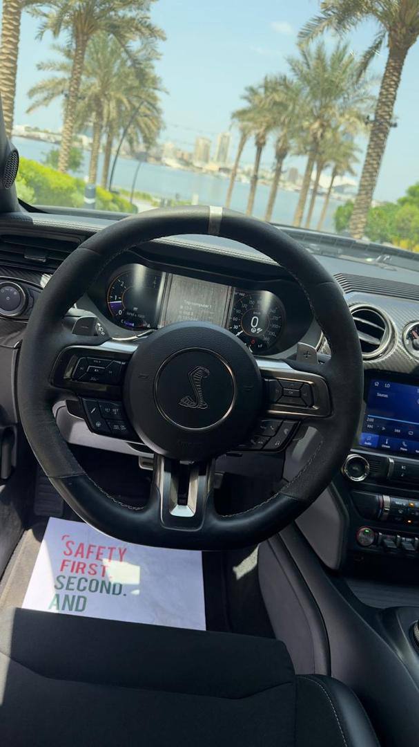 Ford Mustang Shelby 2021 Gray