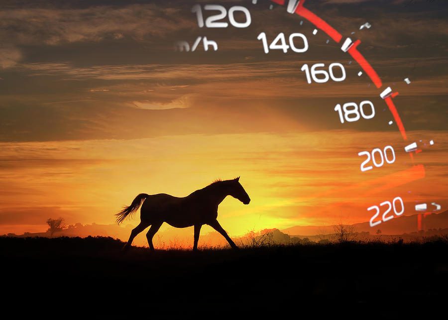Horsepower in Cars Explained: What It Is, Who Discovered It ?