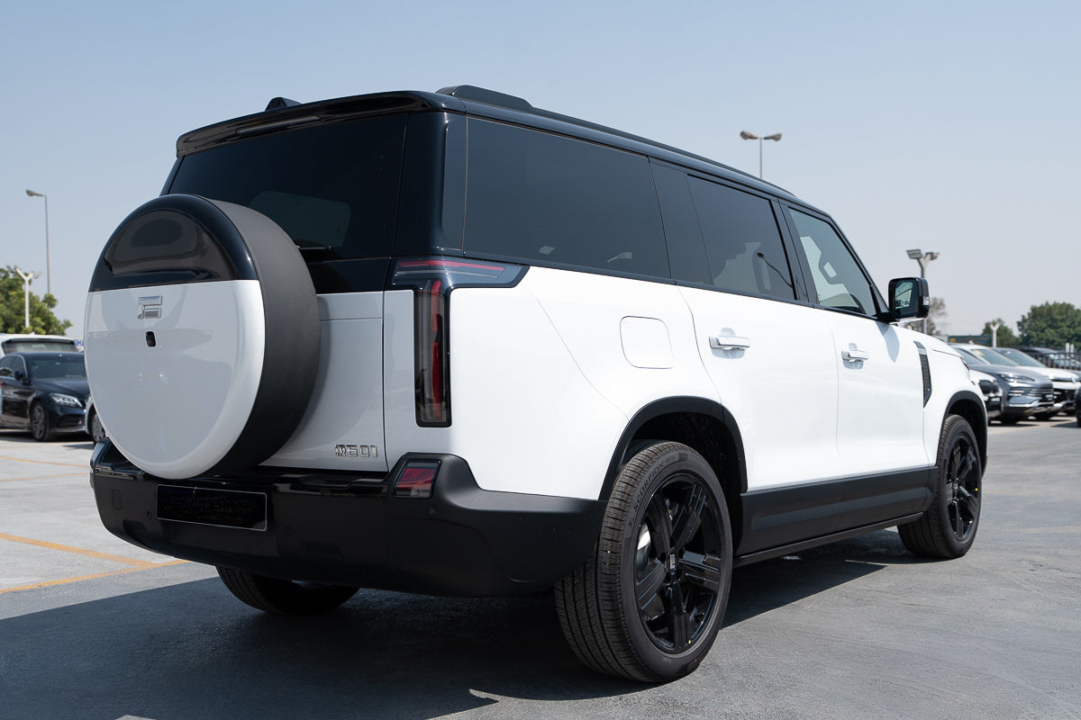 ROX 01 VIP Long Range 2025 white