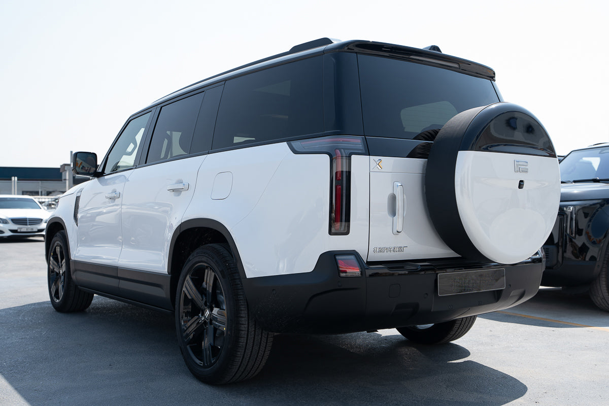 ROX 01 VIP Long Range 2025 white