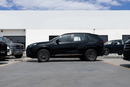 2025 Toyota Wildlander Luxury Plus AWD Black