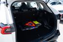 2025 Toyota Wildlander Luxury Plus White