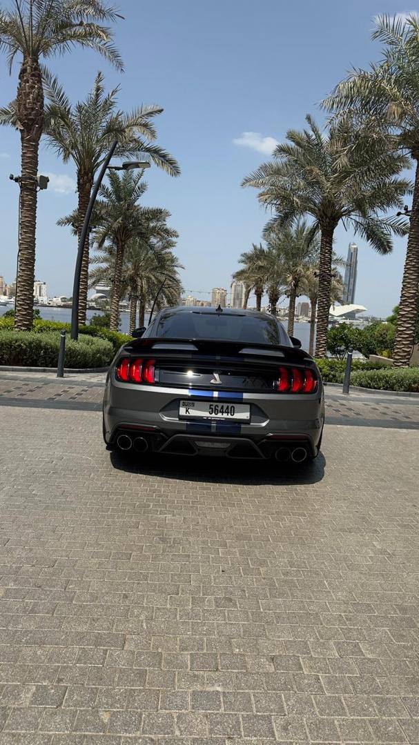 Ford Mustang Shelby 2021 Gray