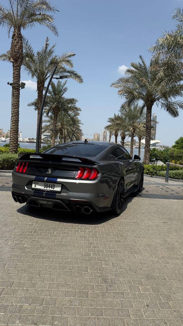 Ford Mustang Shelby 2021 Gray