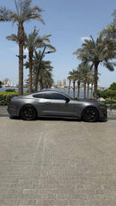 Ford Mustang Shelby 2021 Gray