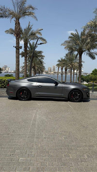 Ford Mustang Shelby 2021 Gray